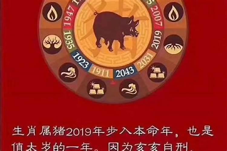 属猪今年的财运和运势2023