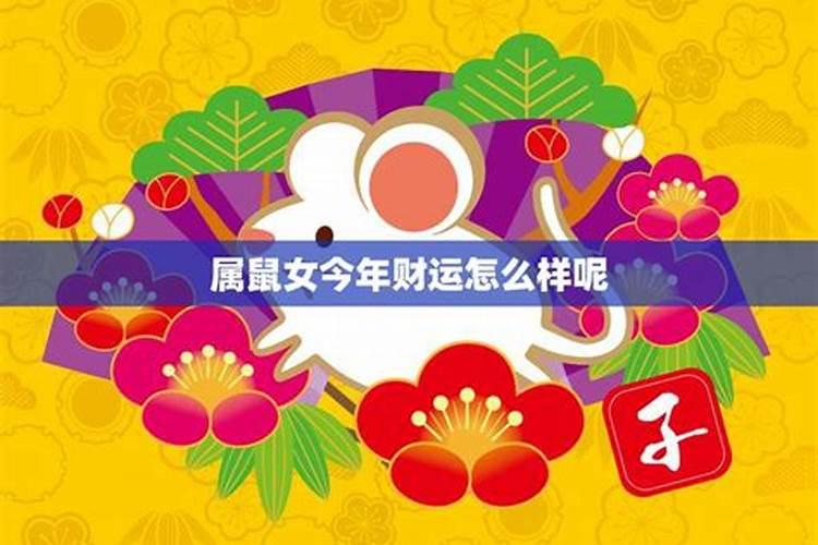 属鼠今年财运怎样