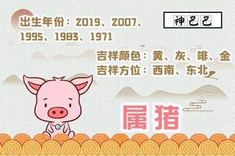 1995属猪的2020年运势怎么样