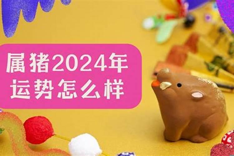 2024年属猪的运势怎么样