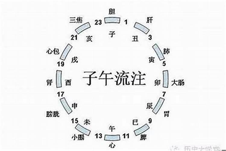 八二年狗在2023年运势