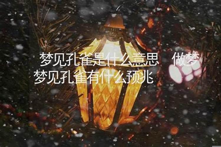 做梦梦见打死孔雀预示什么