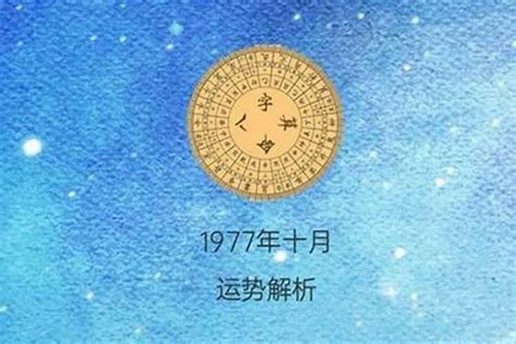 1984年今年的运气