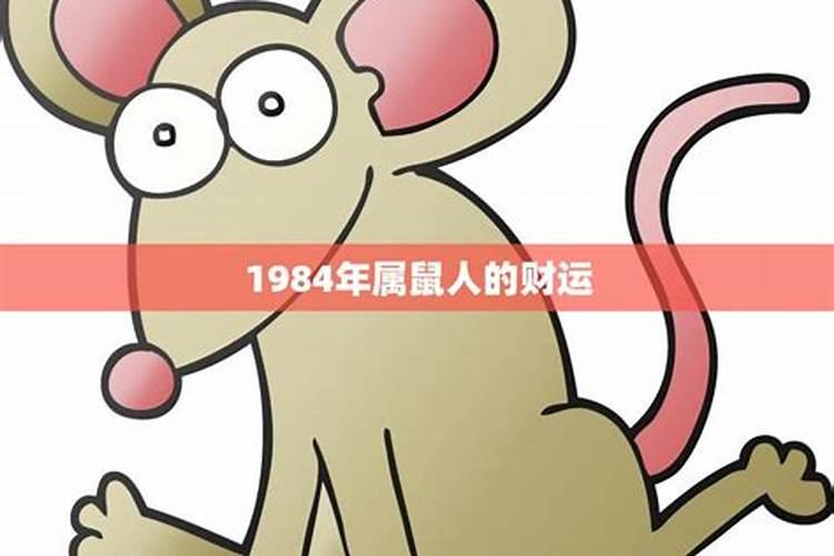 1984年鼠今年财运如何