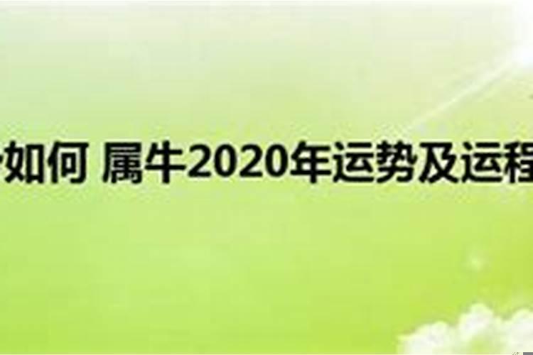 1984年运势2020年运势