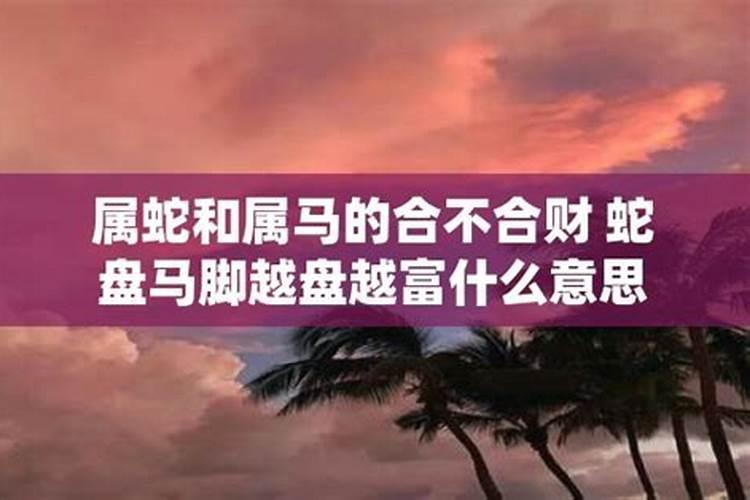 属蛇和属马的合不合财运