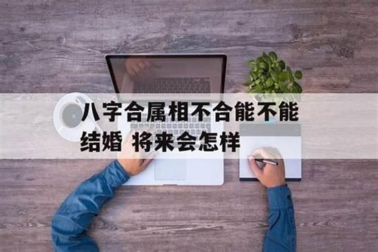 梦见结识陌生的异性朋友代表什么