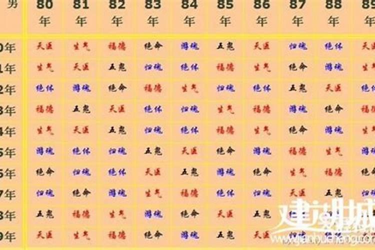 96年属什么的生肖