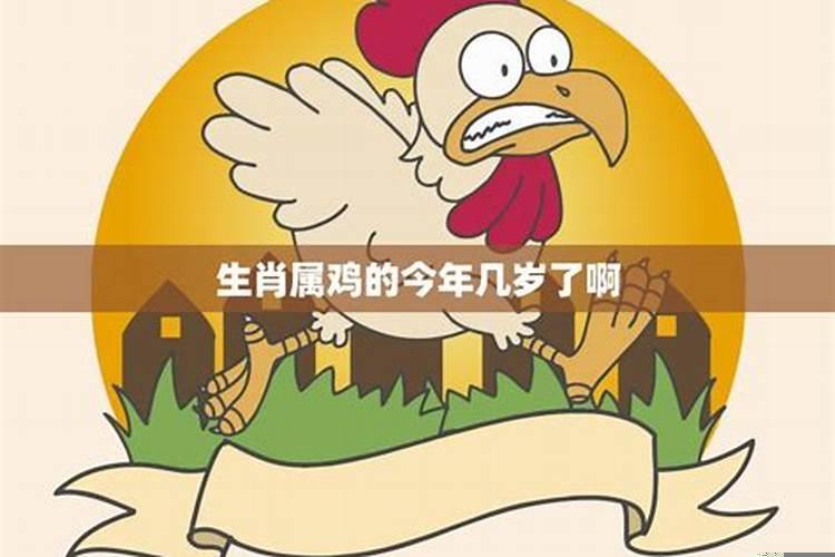 生肖属鸡今年多大岁数