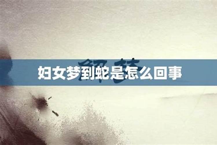 经常梦到蛇是怎么回事啊