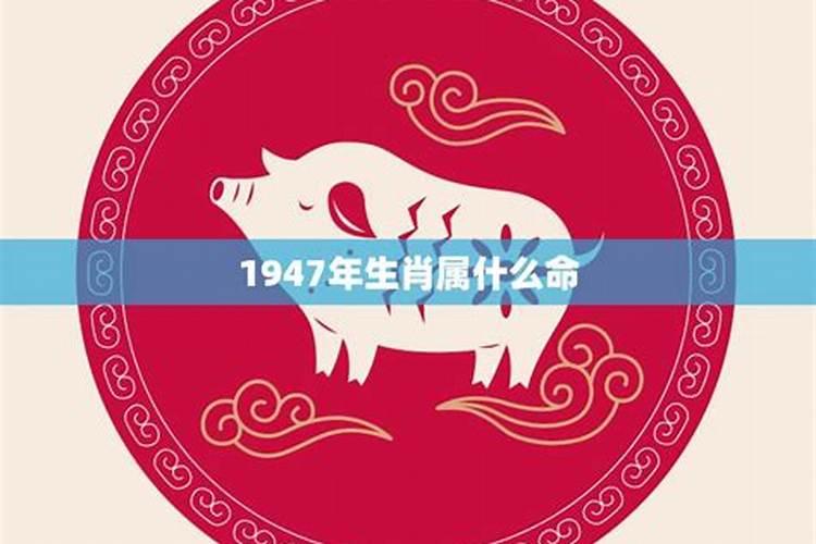 1947年属猪人的命运