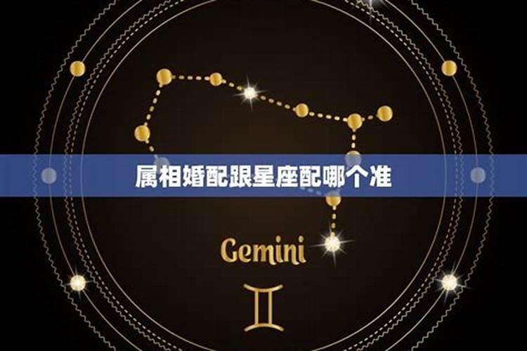 星座准还是属相星座和属相哪个更准