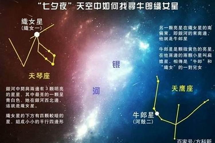 牛郎星位于哪个星座天区内