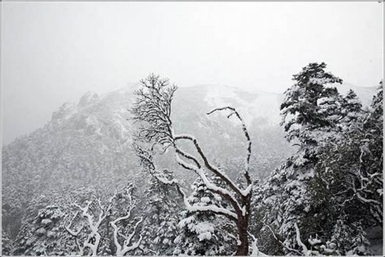 梦见风雨雪交加啥意思