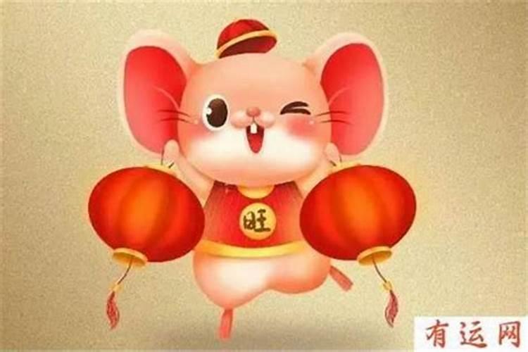 属鼠的今年运程属鼠今年的运势