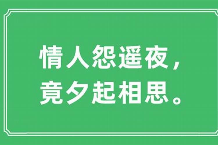 四夜静寂会情人是什么生肖