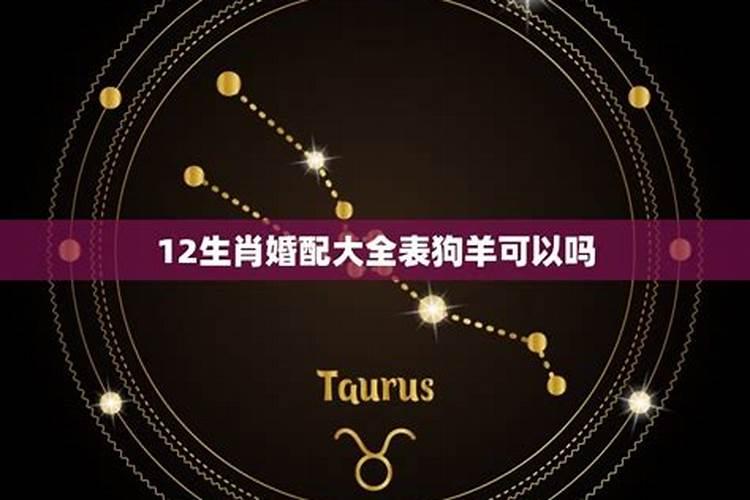 92年农历11月19日是什么星座呢