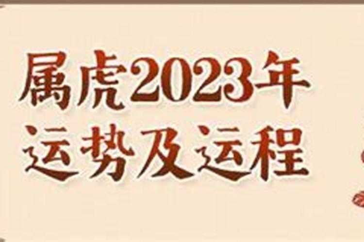 1981年属鸡人女命2023年运势