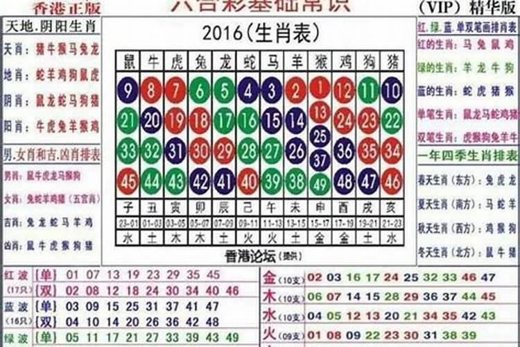 横行霸道代表什么生肖数字