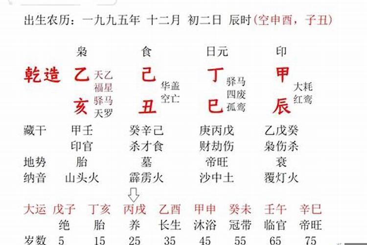 再字五行属什么动物