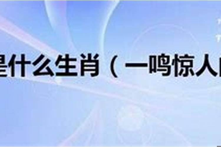 一鸣惊人是什么生肖查一下