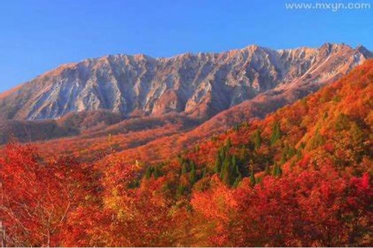 梦见大山是什么预兆