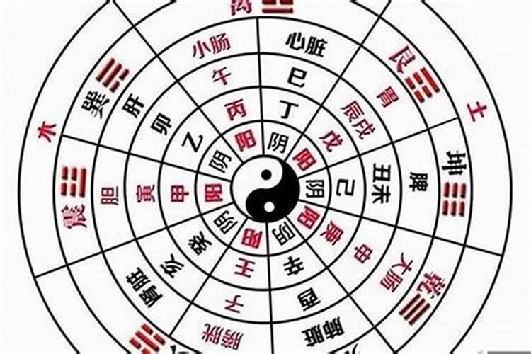 八字排盘阴阳怎么看