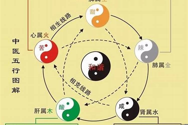 体育教育五行属什么