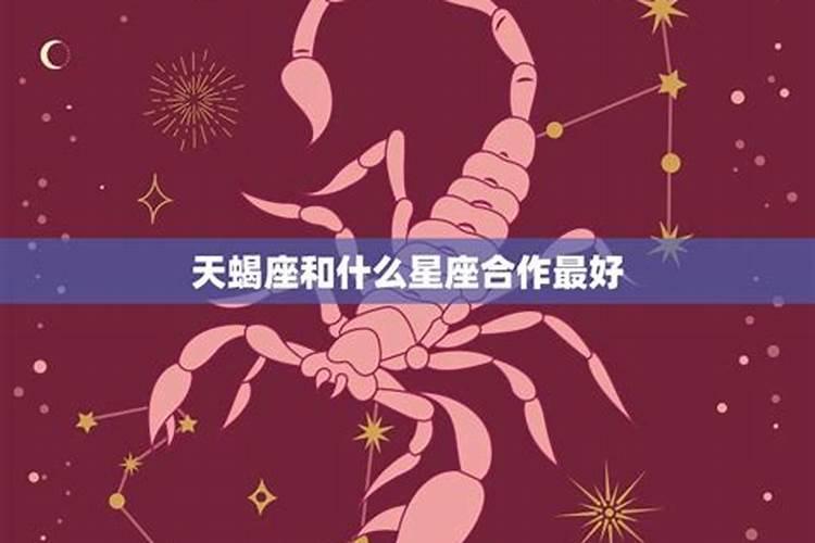 天蝎什么星象星座