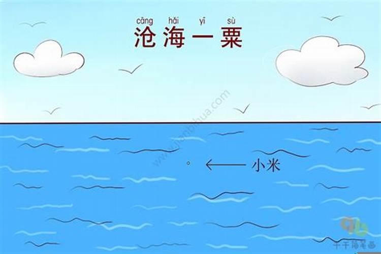 沧海一粟指什么生肖动物