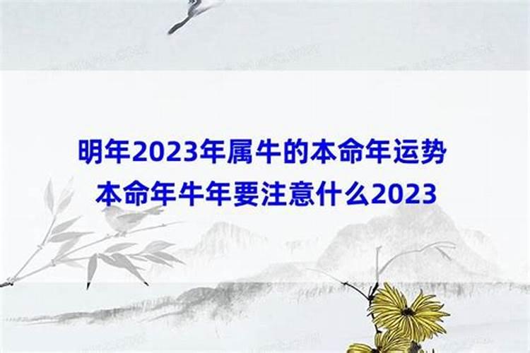 龙年属鸡人的全年运势