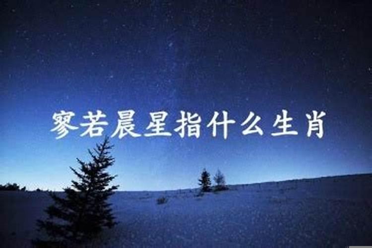 脚踏实地上指什么生肖