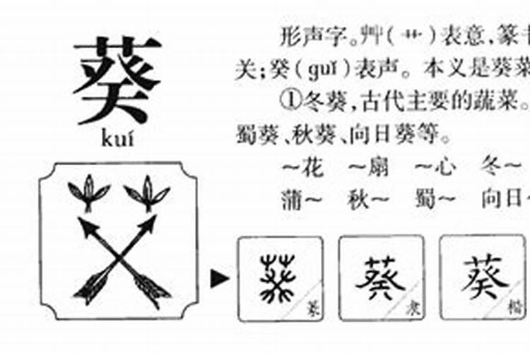 葵字的五行属什么意思