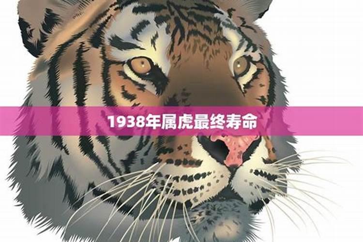 1988年什么时候立春农历