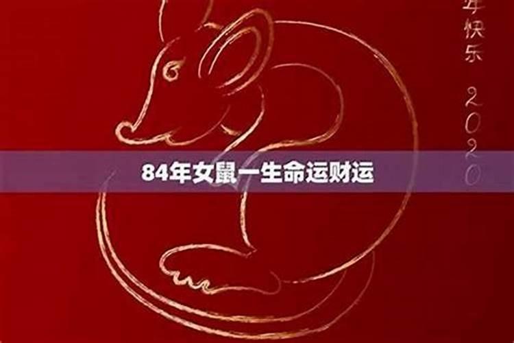 84年鼠的贵人是什么生肖