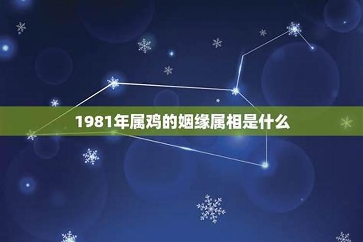 1981属牛的人是什么命