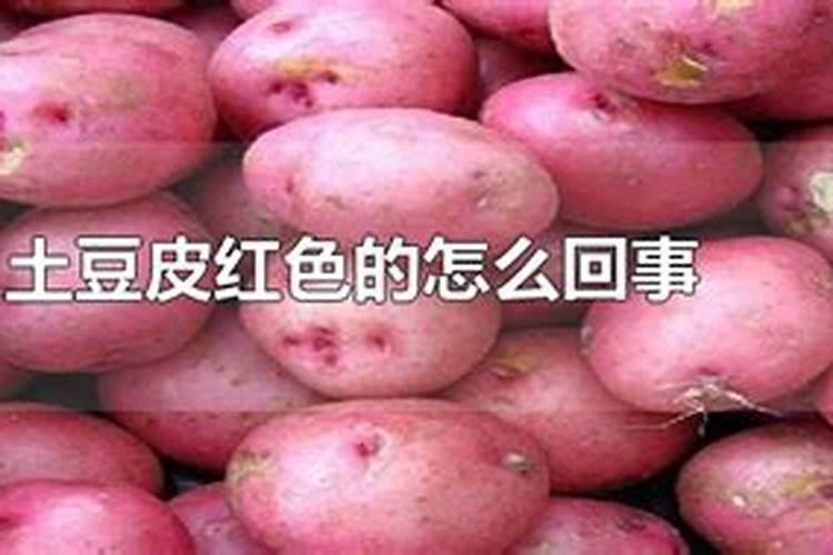 梦见土豆是什么意思周公解梦