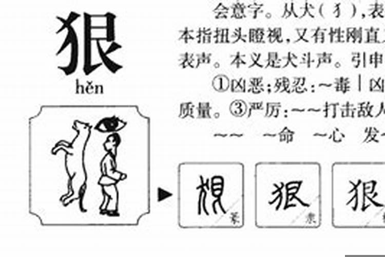 狂字五行属什么属性