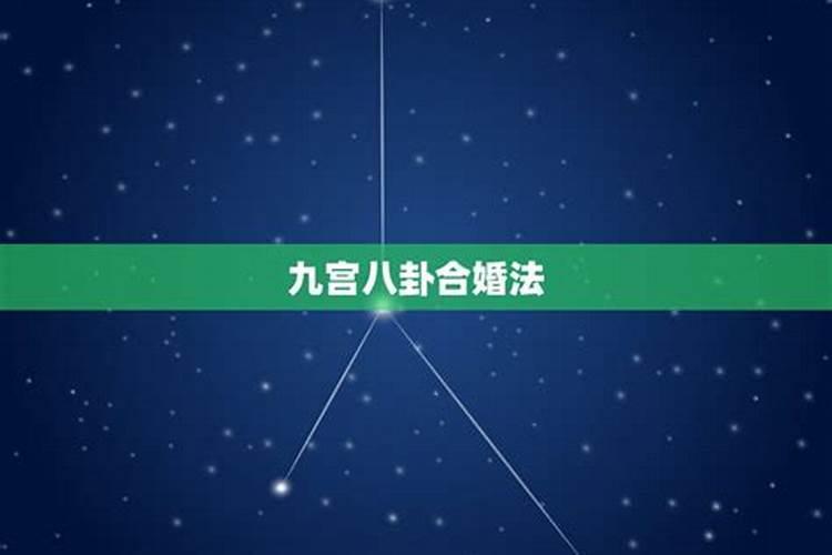 梦见蛇被我砍死了是什么预兆呢