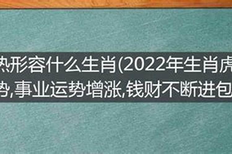 炙手可热代表什么生肖