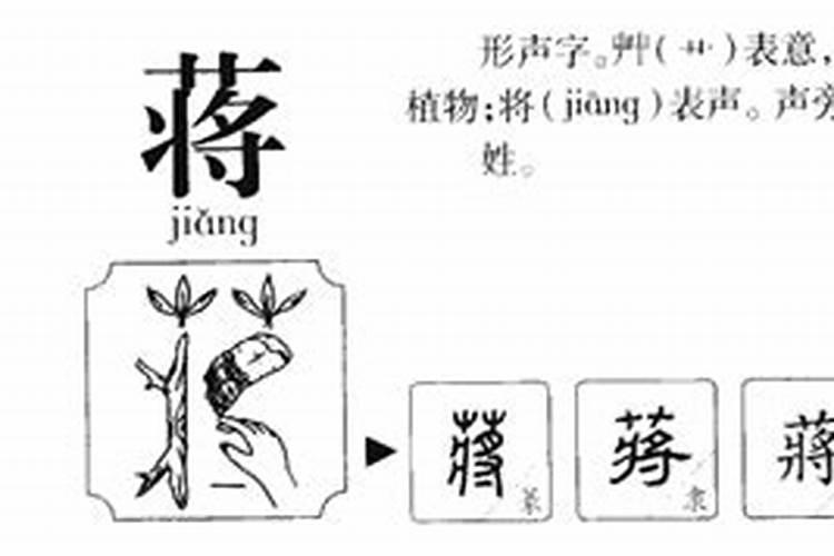 蒋字五行属什么缺什么