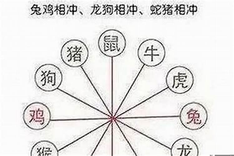 属羊的和什么犯冲