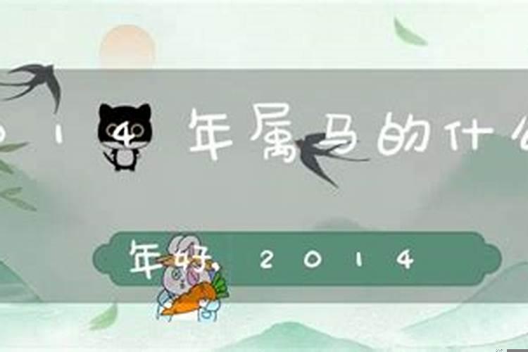 属马的什么星座2014年