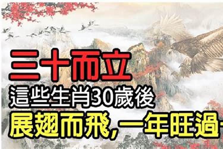 三十而立什么意思打一生肖