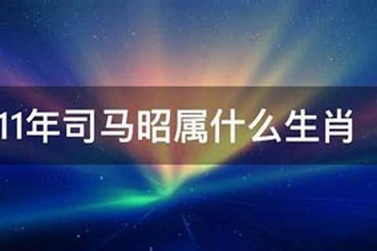 司马昭属什么生肖的