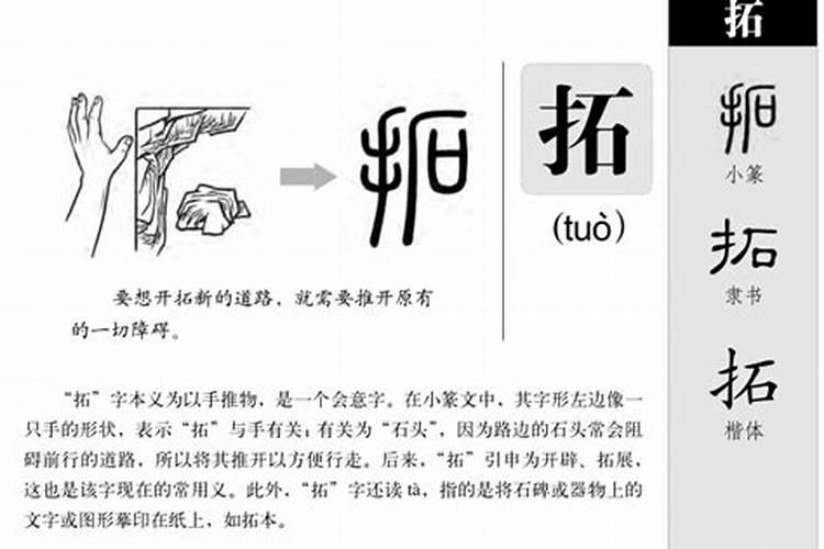 拓字五行属什么的