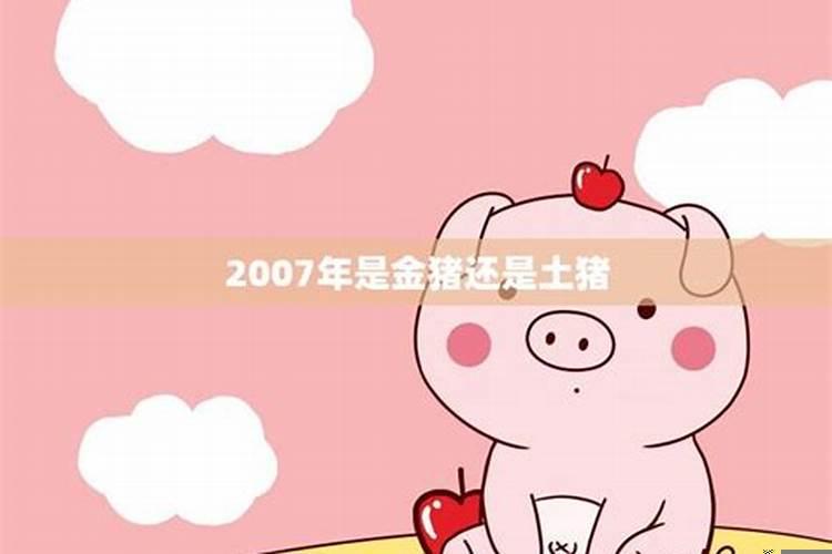 属猪的2007出生什么命