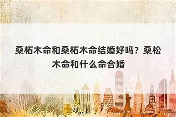 8月份属牛的运势2024年运势