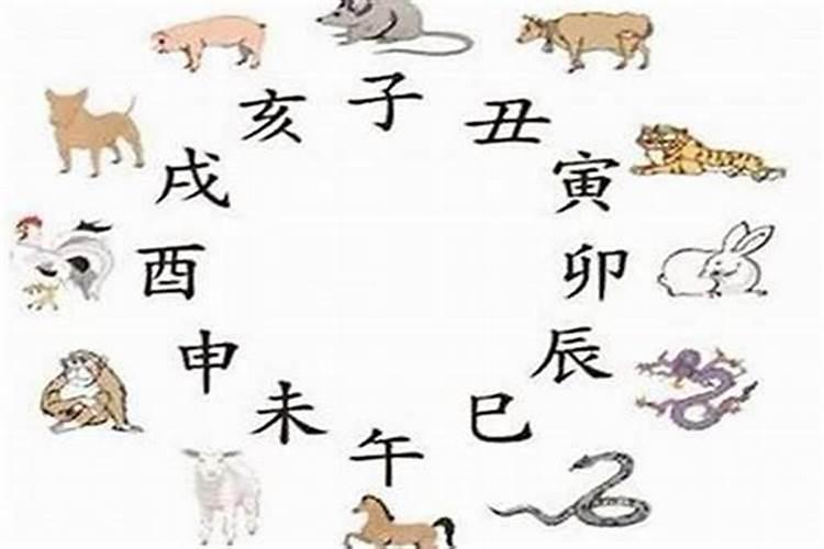 猪和蛇八字合吗