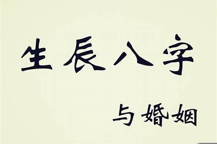 算命属狗人今年运势怎样